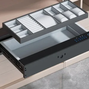 Fingerprint/Passcode Safety Box (Full Jewelry)